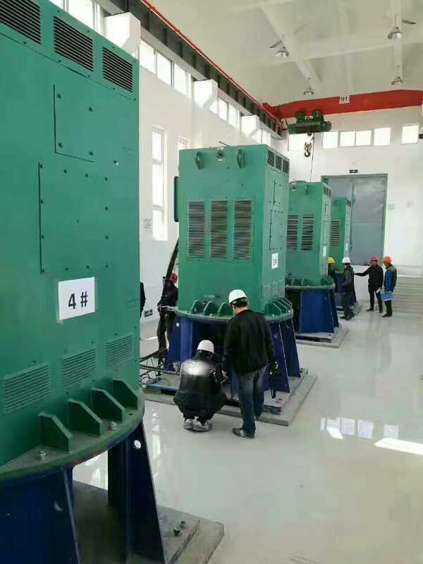 YRKK5004-4某污水处理厂使用我厂的立式高压电机安装现场