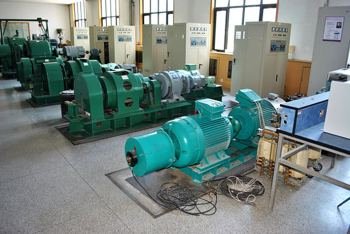 YRKK5004-4某热电厂使用我厂的YKK高压电机提供动力