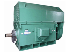 YRKK5004-4Y系列6KV高压电机