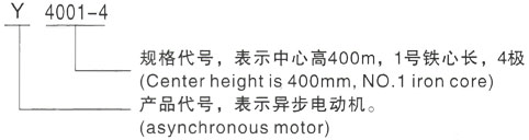 西安泰富西玛Y系列(H355-1000)高压YRKK5004-4三相异步电机型号说明