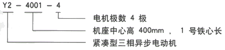 YR系列(H355-1000)高压YRKK5004-4三相异步电机西安西玛电机型号说明